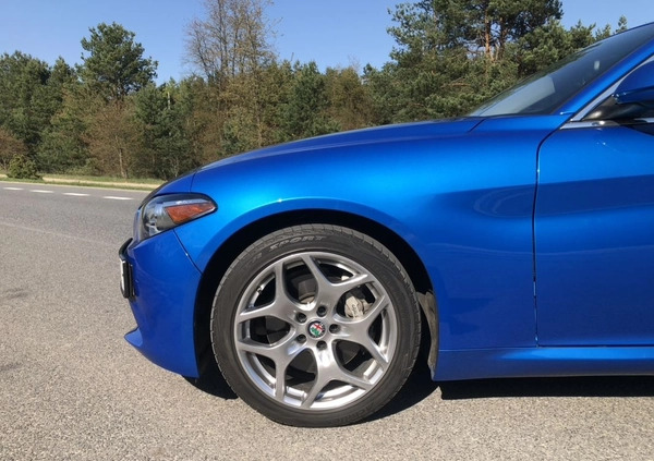 Alfa Romeo Giulia cena 102000 przebieg: 15000, rok produkcji 2020 z Warszawa małe 67